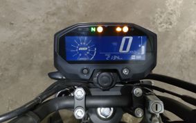YAMAHA FZ-X150 RG73