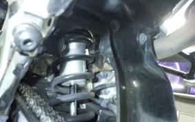 YAMAHA WR250R 2024 DG15J