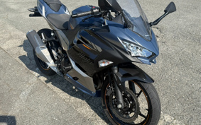 KAWASAKI NINJA 250 EX250Y