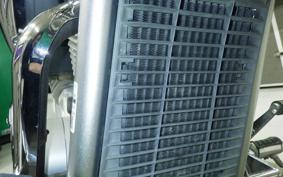 HONDA VT1300CX 2009 SC61