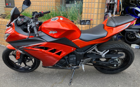 KAWASAKI NINJA 250 EX250L