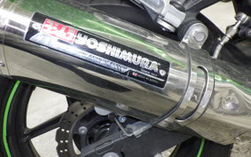 KAWASAKI NINJA 250R 2019 EX250K