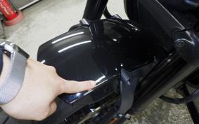 HARLEY RH1250S 2022