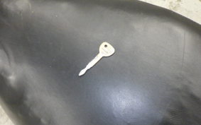 YAMAHA AXISﾄﾘｰﾄ SE53J