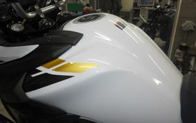 SUZUKI Vｽﾄﾛｰﾑ650XTA 2023 C733M