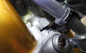 YAMAHA MT-09 2014 RN34J