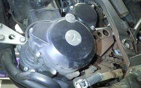 KAWASAKI KLX250D TRACKER X