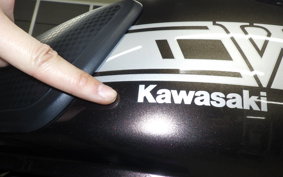 KAWASAKI W800 CAFE 2020 EJ800B