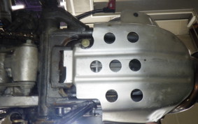 KAWASAKI SUPER SHERPA 2007 KL250G