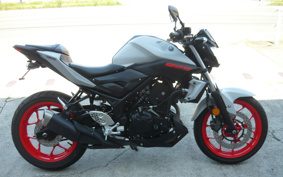 YAMAHA MT-25 RG43J