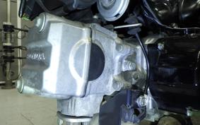 HONDA LITTLE CUB AA01