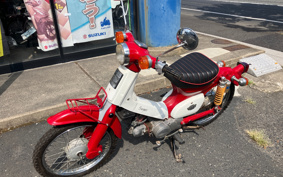 HONDA SUPER CUB50 C50