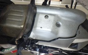 DUCATI MULTISTRADA 1200 S 2010