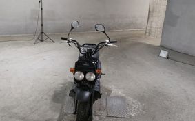 HONDA ZUMAR AF58