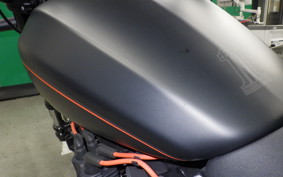 HARLEY FXDRS1870 2019