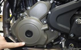 HUSQVARNA SVARTPILEN 250 2014