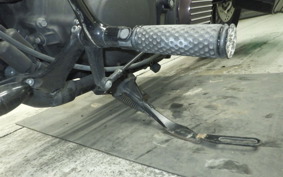 HARLEY XL883N 2009