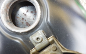 YAMAHA SRV250 RENAISSA 4DN