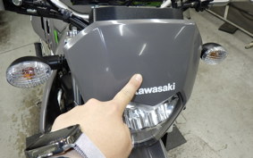 KAWASAKI KLX230S LX232A