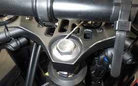 YAMAHA YZF-R25 A 1998 RG43J