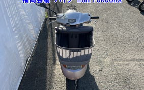 HONDA DIO CHESTER