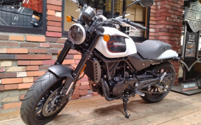 HARLEY X500 2024 W5B