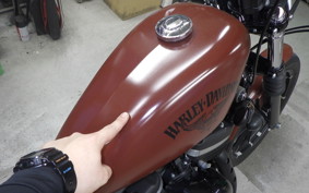 HARLEY XL883N 2018