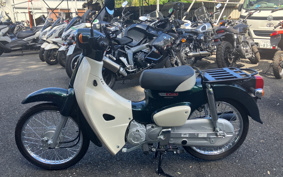 HONDA SUPER CUB50 AA09