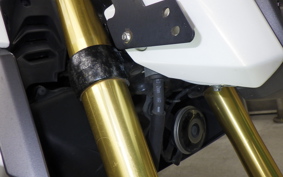 HONDA ｸﾞﾛﾑ 2023 JC61