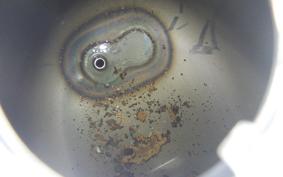 HONDA C90 SUPER CUB 2025 HA02