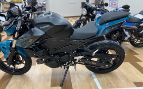 KAWASAKI Z250ABS EX250P