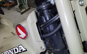 HONDA CT125 HUNTER CUB 2022 JA55