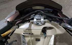 YAMAHA MAXAM250 SG21J