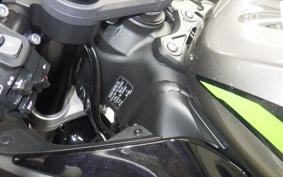 KAWASAKI NINJA ZX-6R A 2024 ZX636J
