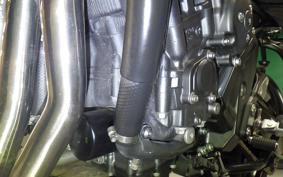 YAMAHA FZ1 FAZER 2013 RN21J