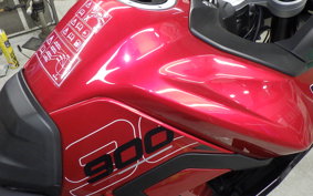 TRIUMPH TIGER 900 GT PRO 2024