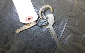 YAMAHA TRICKER DG10J