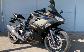 KAWASAKI NINJA 250 EX250P