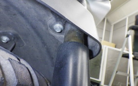 HONDA ZOOMER 2021 AF58