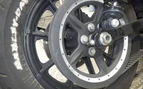 HARLEY XL1200NS 2020