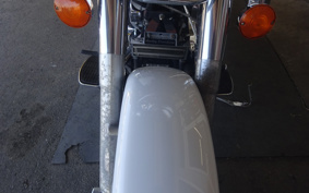 HARLEY FLSTC 1991 BJL