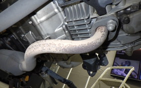 HONDA MONKEY 125 ABS 2023 JB02