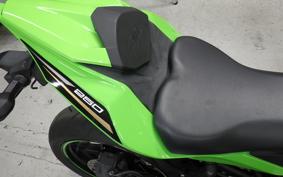 KAWASAKI ZX-25R 1992 ZX250E