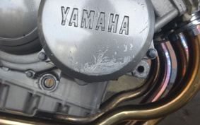 YAMAHA ZEAL 3YX