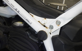 HONDA ZOOMER AF58