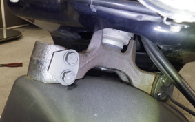 HONDA ZOOMER 2025 AF58