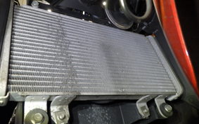 KAWASAKI NINJA 250 EX250L