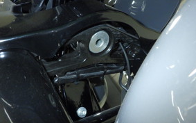 HARLEY FLTRXSE1920CVO 2018