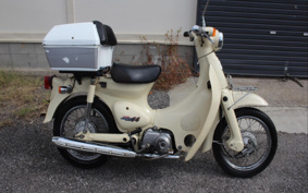 HONDA LITTLE CUB C50
