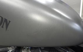 HARLEY XL883N 2018